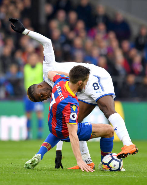 合适的土壤 合适的土壤