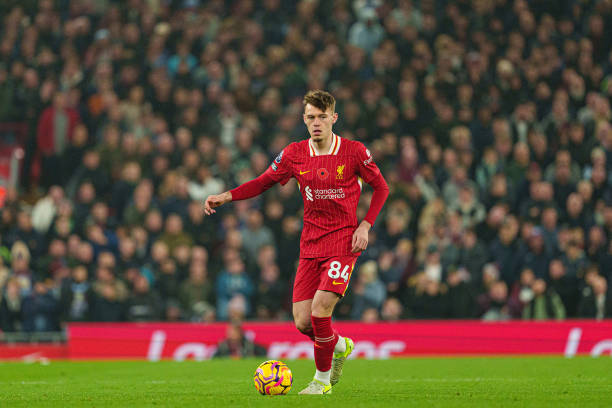 新老明星們 新老明星們